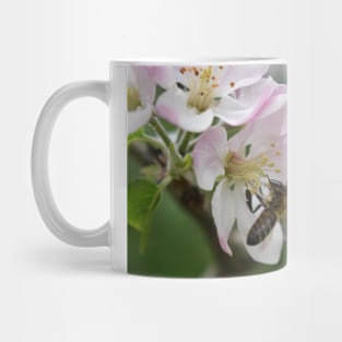 A bee attracted by the freshness of spring Mug